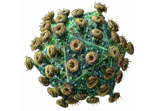 HIV Virus